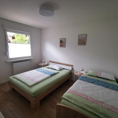 Ferienwohnung Blick Rappenstein Hausen am Tann Buitenkant foto