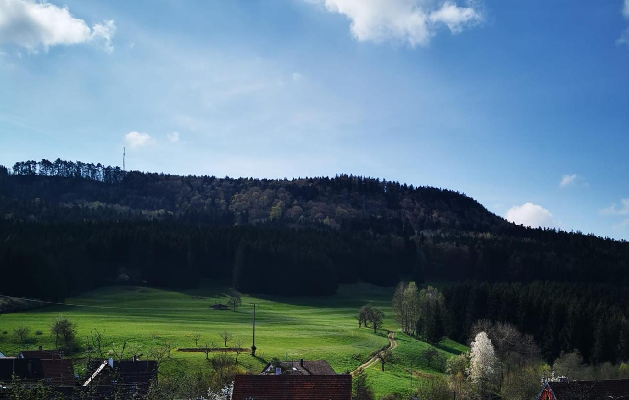 Ferienwohnung Blick Rappenstein Hausen am Tann Buitenkant foto