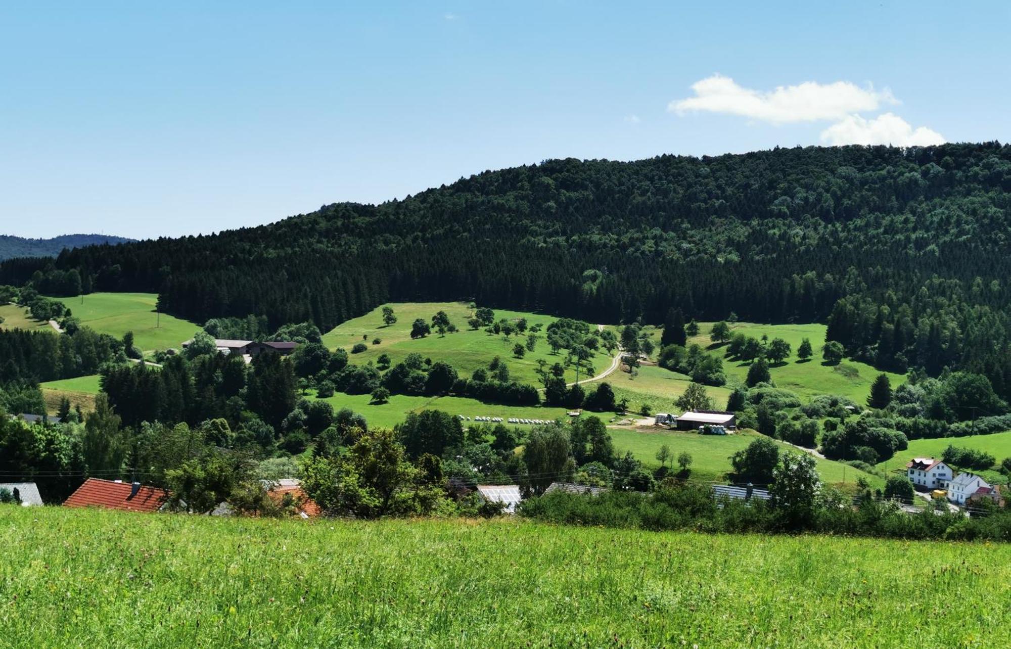 Ferienwohnung Blick Rappenstein Hausen am Tann Buitenkant foto