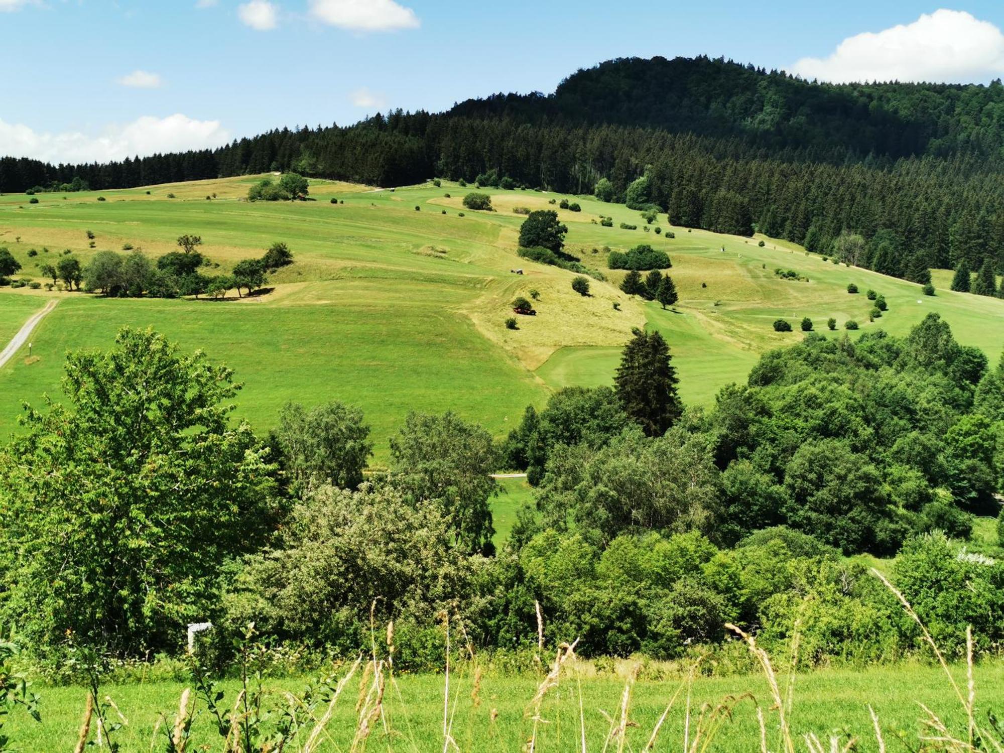 Ferienwohnung Blick Rappenstein Hausen am Tann Buitenkant foto
