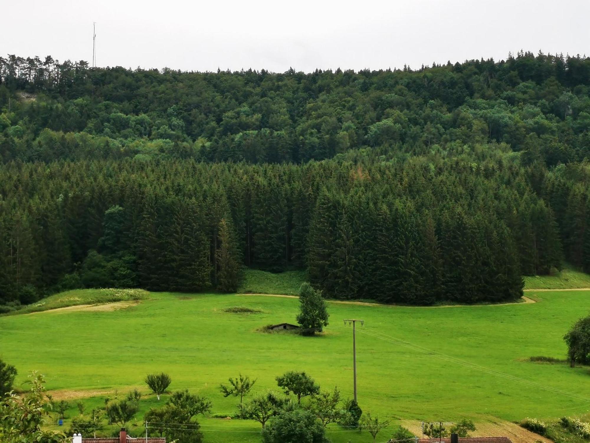 Ferienwohnung Blick Rappenstein Hausen am Tann Buitenkant foto